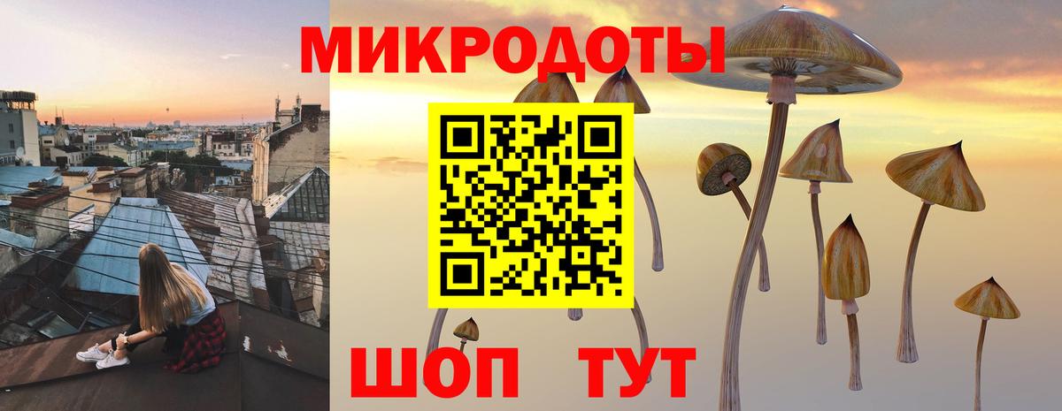 Псилоцибиновые грибы Psilocybine cubensis Щёлково